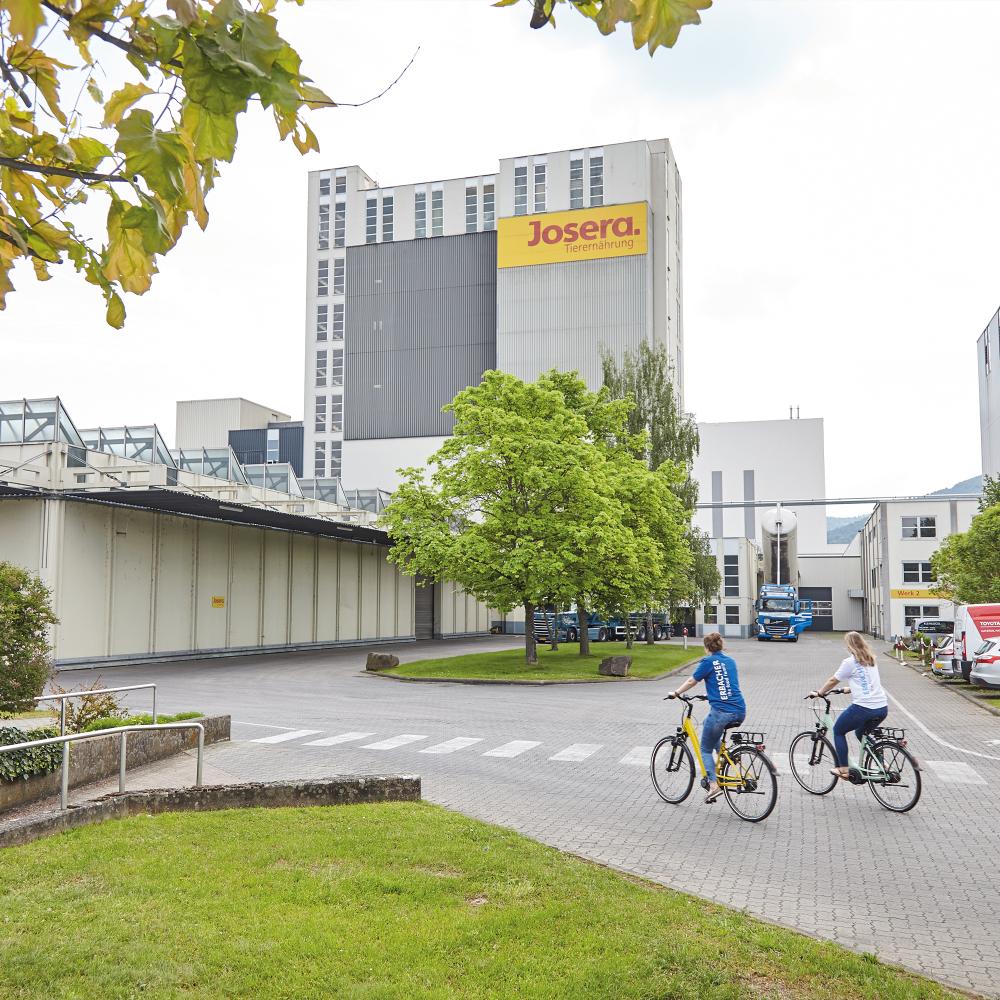 Zwei Mitarbeitende fahren mit dem Fahrrad über das food family Gelände.