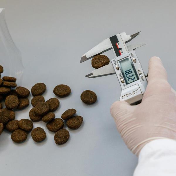 Messen des Durchmessers der Hundefutter-Kroketten.