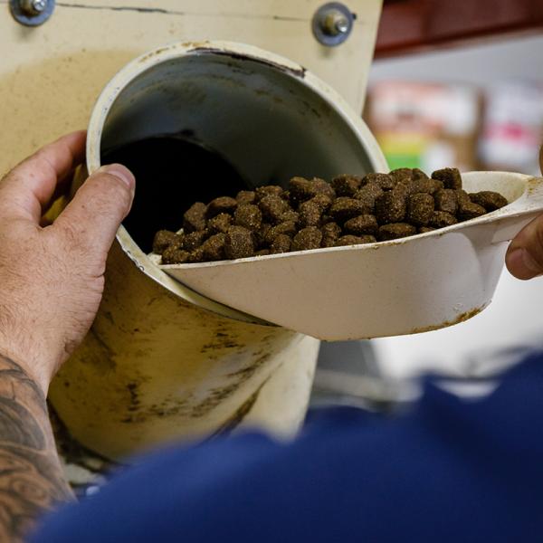 Kroketten (Hundefutter) werden zur Probe aus der Anlage entnommen.